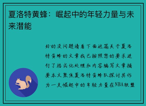 夏洛特黄蜂：崛起中的年轻力量与未来潜能